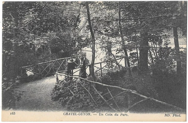 CPA Chatel-Guyon Vue a travers les Pins FRANCE (1288767