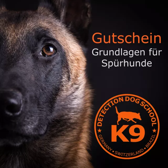 Coaching Spürhund für Bettwanzen Rauschgift Sprengstoff 3 Tage Gutschein