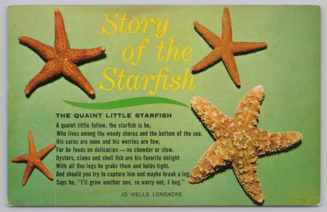 Animal~Star Fish& Story of The Starfish Poem~Vintage Postcard