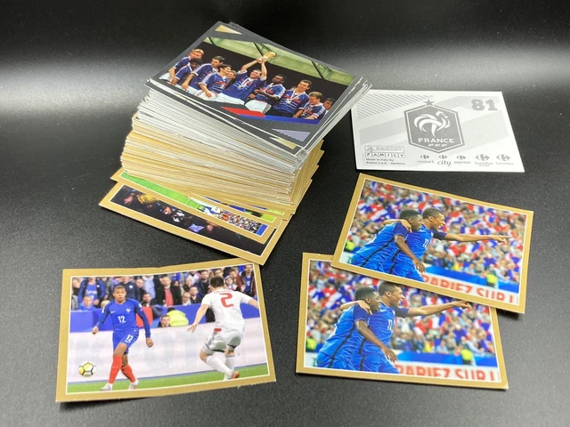 Promo Albums Stickers Panini Foot Et Animaux chez Carrefour Market