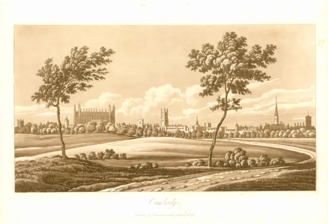 1821 Antique Aquatint print CAMBRIDGE Cambridgeshire(TOC23)