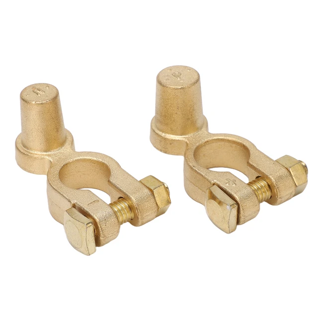Suuonee 1 Paire Manchons Adaptateurs Bornes Batterie Voiture - Convertisseur Cathode Anode Argent