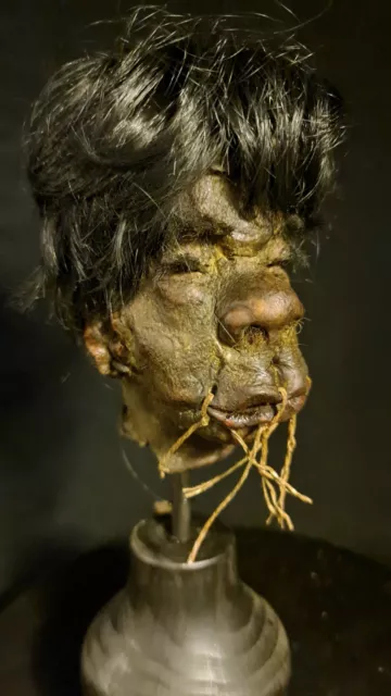 Schrumpfkopf shrunken head tsantsa