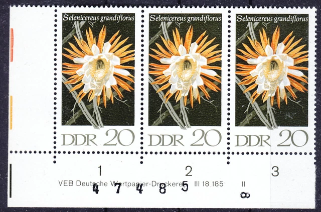 Briefmarken DDR Mi Nr. 1628 Kakteen (I) BZN DZ Druckvermerk DV DWD II **