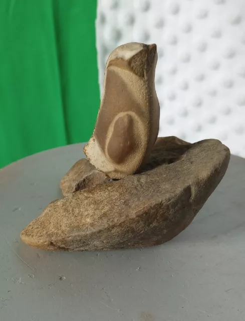 Premium Paleolithic flaked Tool/Bird ornamentation effigy knife Assemblage