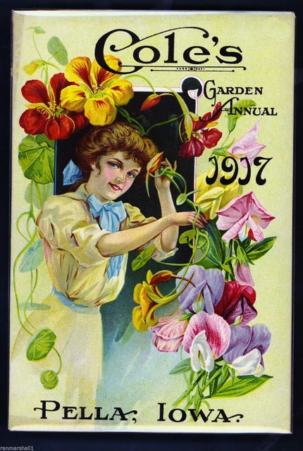 94134 1917 Coles Garden Flowers Seed Packet Catalogue Decor Wall Print Poster