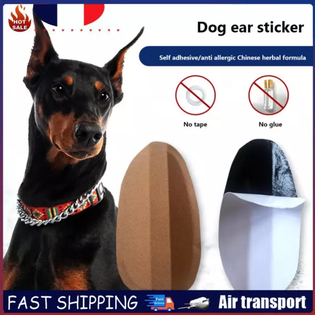 Practical Dog Ear Stand Stickers Breathable Ear Straightener for Dog (5*2.5cm) F
