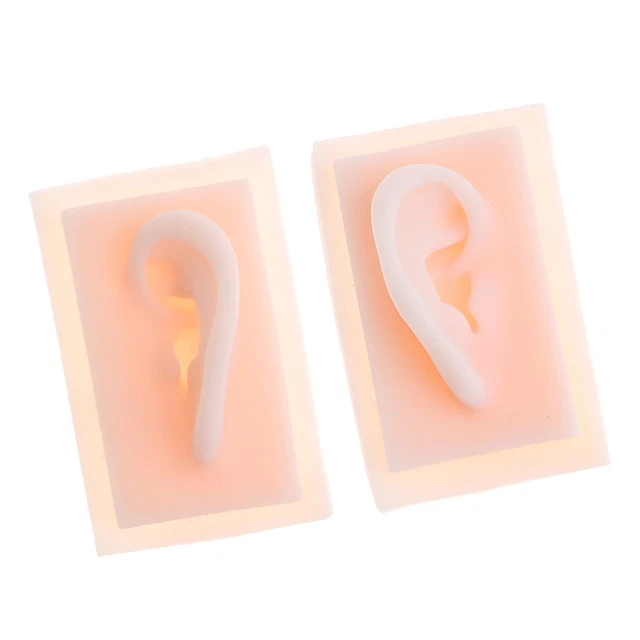 1:1 Silicona Acupuntura Oreja Izquierda y Derecha Modelo Anatomía Juguete