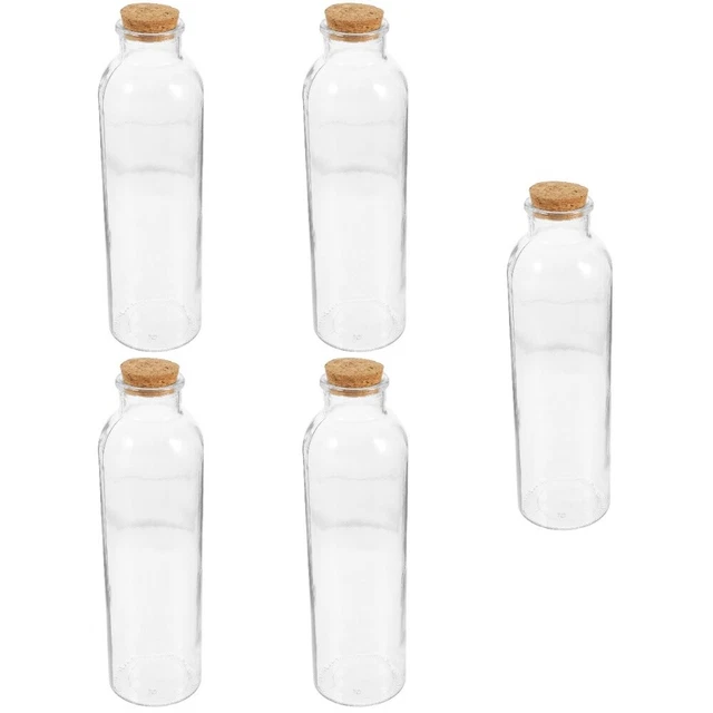 5x maceta de vidrio botella de plantas jarrón de flores recipiente de paisaje pro decoración