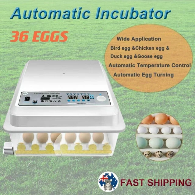 64 Eggs Poulty Incubato Fully Automatic Egg Tuning Hatche
