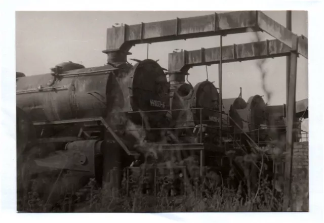 Foto Heizlok BW Seddin 1988 Dampflok Reichsbahn