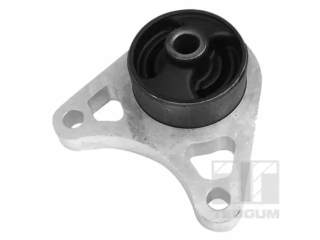 TEDGUM Lagerung Differential 01164615 für LANDROVER FREELANDER 1 L314 Soft Top