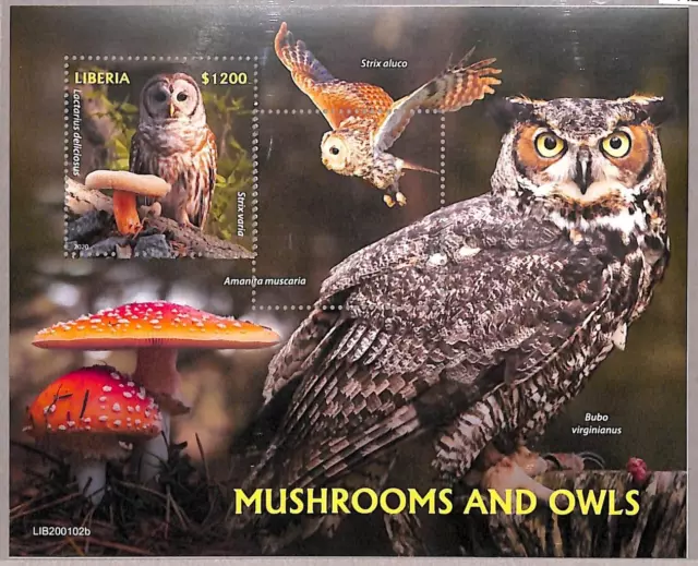 A2007 - LIBERIA, ERROR: Misperf SOUVENIR SHEET - 2020, Owls, Birds, Mushrooms