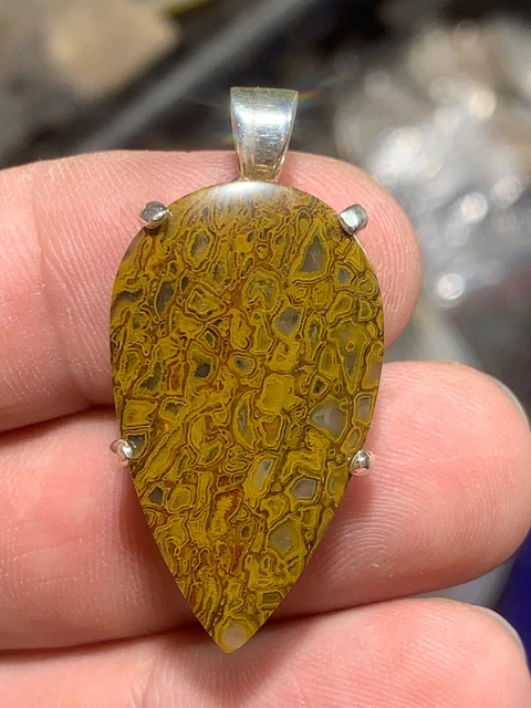 Utah dino gem bone sterling silver pendant