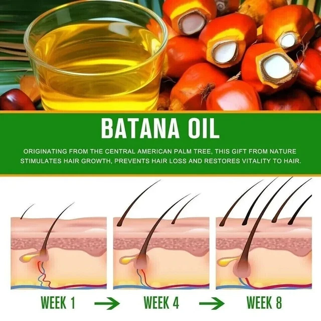 Huile De Batana Biologique Terraveda - Pour La Croissance Et La Réparation Des Cheveux - 100 Ml