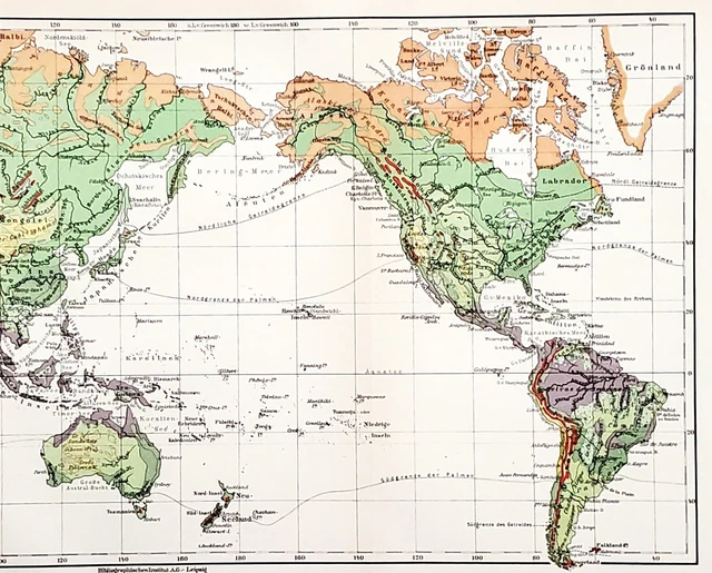 1930 WORLD VEGETATION Map Tropical Zones Tundra Grasslands Desert Lands 1930 WORLD VEGETATION Map Tropical Zones Tundra Grasslands Desert Lands