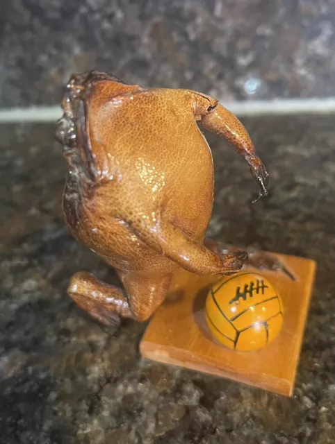 VINTAGE MEXICO TAXIDERMY Real Bull Frog Toad Playing Basketball 4.5