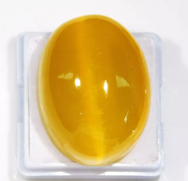 95.90 Ct Natural Chrysoberyl Cats Eye Yellow Color Cabochon Loose gemstone