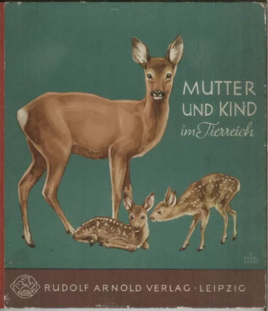 Konvolut  - Sammelsurium  für Kinder  von Heidi zu Bummi und Frösi uvm.