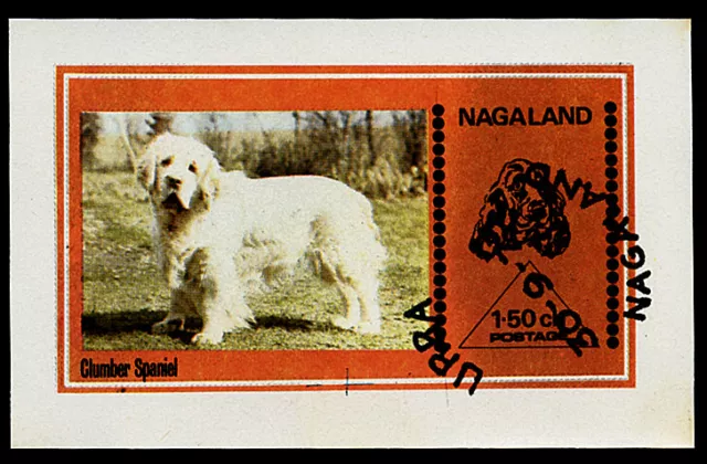CLUMBER SPANIEL - Stamp Souvenir Sheet - Nagaland Indian State 1973 Used