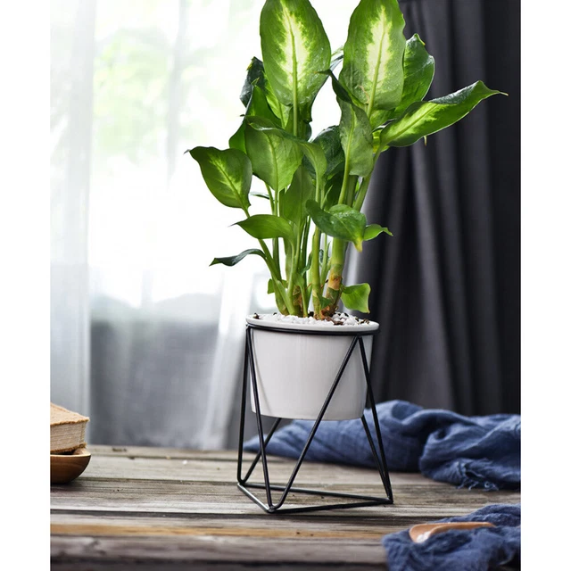 3x Porzellan Sukkulenten Pflanzer Kleine Topf Garten Keramik Blumentopf 10