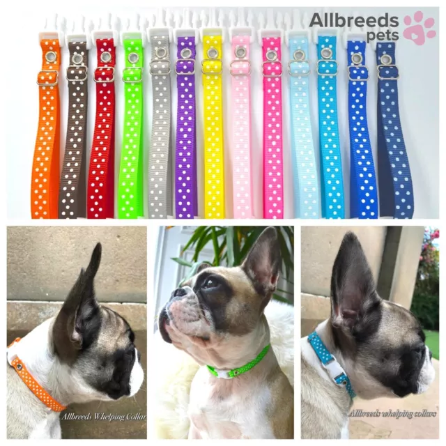 Allbreeds Pets Puppy I.D Whelping Collars, Adjustable Bands Dog Breeding Kit set