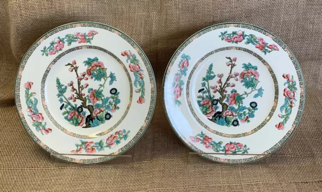 2 Vintage Wood's Ivory Ware Indian Tree 10" Dinner Plates Green Trim England