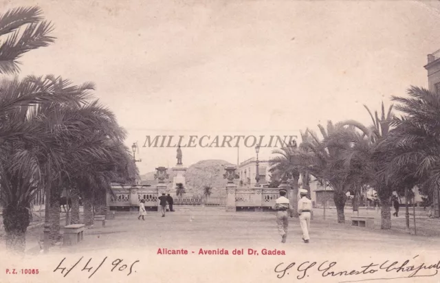 SPAIN - Alicante - Avenida del Dr.Gadea 1905