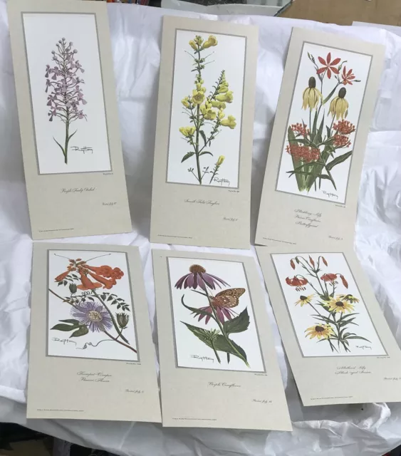Set of 6 Vintage 1967 Ray Harm Summer Eastern Wildflowers Set of 6 Vintage 1967 Ray Harm Summer Eastern Wildflowers