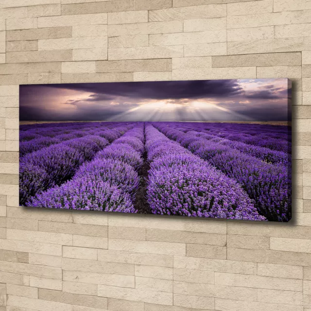 Pintura de La Pared Para Salón Decoración del Hogar 125x50 Campo de lavanda