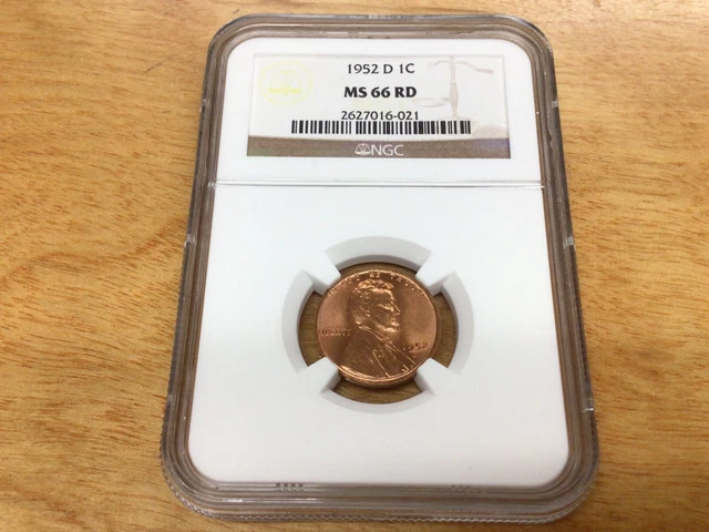 1952 D NGC MS 66 RD Lincoln Wheat Cent 1c Red/Red Beautiful Certified Coin
