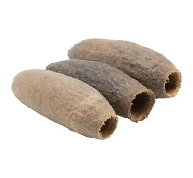 Savu Trumpet Pod