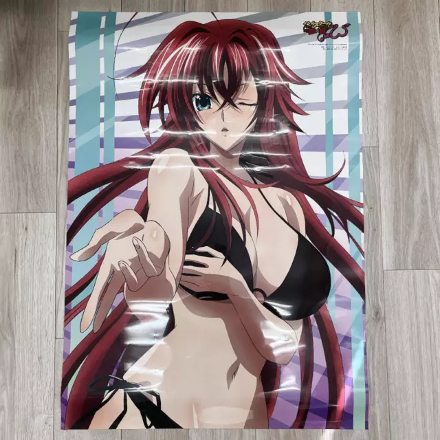 High School DXD Anime Premium POSTER MADE IN USA - HSD003