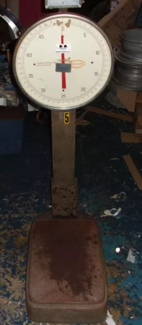 Chantillon Platform Scale 0-50 Lbs. - READ DESCRIPTION - LOCAL PICKUP ONLY