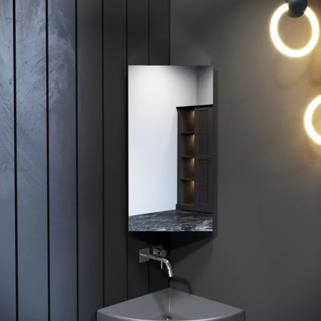 Bathroom Mirror Cabinet 300×600mm with Storage Stainless Steel Corner Cupboard