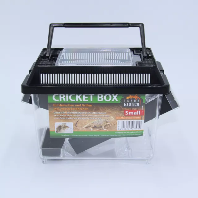 Terra Exotica Cricket Box - small 18 x 11 x 14 cm, Transportbox, Fauna Box