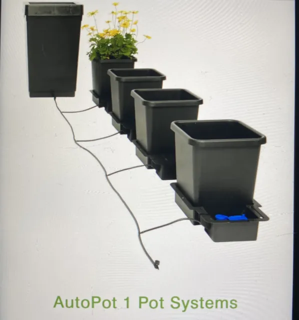 hydroponic autopot system