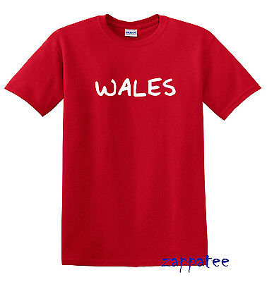Children's WALES T Shirt Boys or girls Welsh tee All kids sizes Age 1-14