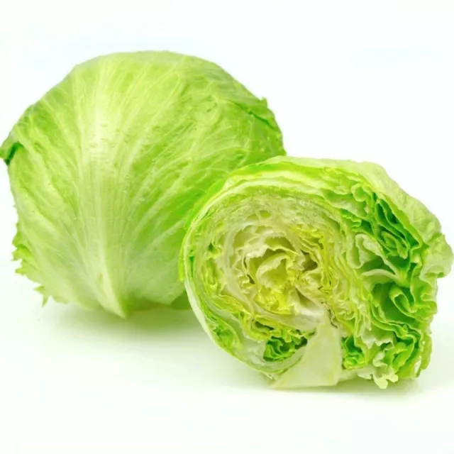 LETTUCE Iceberg 150 seeds HEIRLOOM vegetable garden SPRING AUTUMN WINTER easy