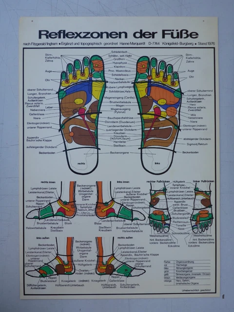 Antiguo Imagen Tabla Reflexología El Pies Pie Ortopedia 1976 Fitzgerald Ingham
