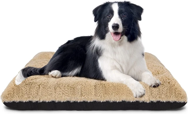 Colchón para perro JOEJOY lavable, impermeable cojines esponjosos para perro grandes, perro c...