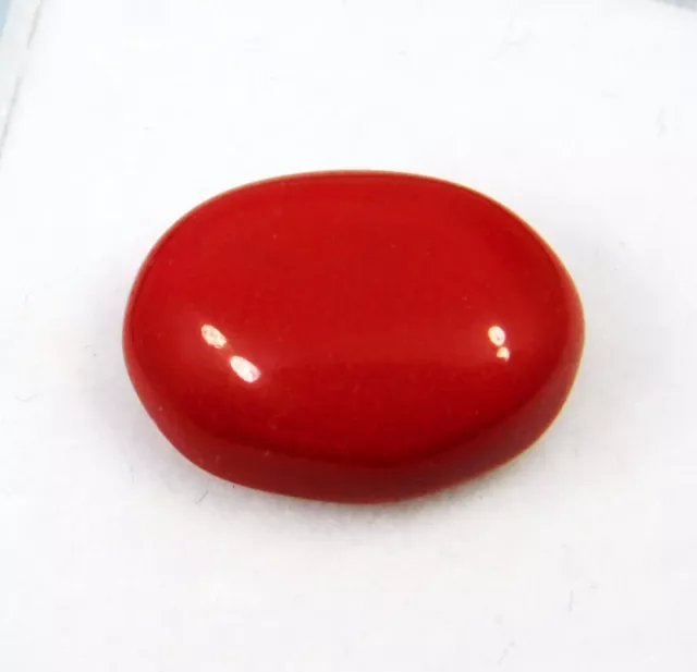 Pietra preziosa sfusa di corallo rosso naturale italiano cabochon a taglio...