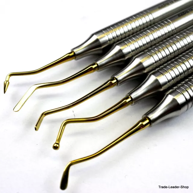 5 Gold Composite Dental Filling Instrument with Tray Probe spatula plugger NATRA 2