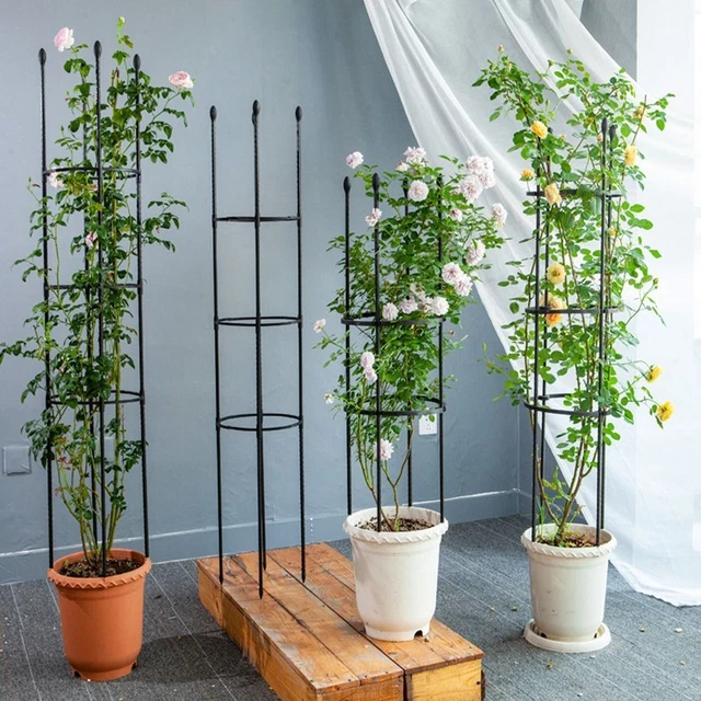 Kavolet Arco per rose, pergola, per piante rampicanti, archi da