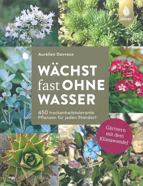 Davroux: Wächst fast ohne Wasser gärtnern mit d. Klimawandel Gartenbuch/Pflanzen