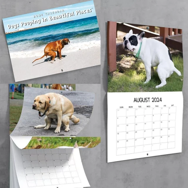 2024 WALL CALENDAR Dogs Pooping in Beautiful Places Desktop Calendars