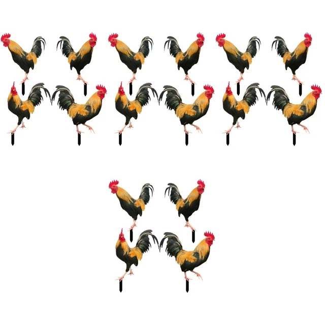 16 pièces jardin décoratif art de cour de poulet pour cour jardin pelouse décor