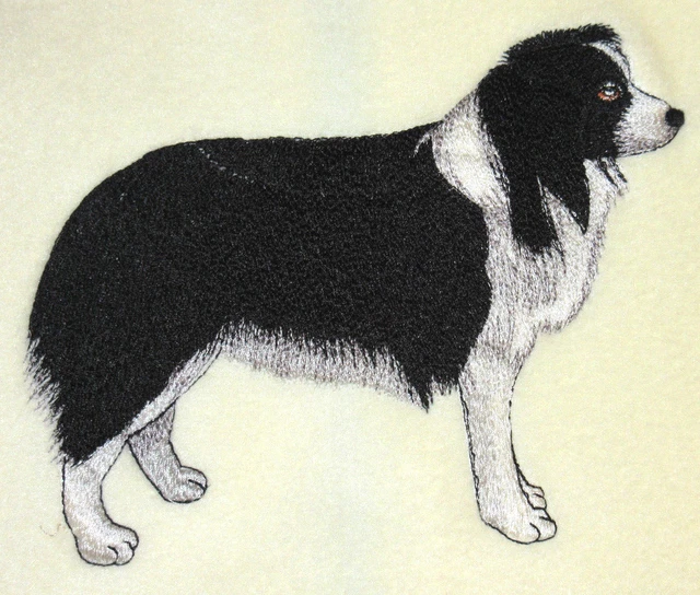 Embroidered Ladies T-Shirt - Border Collie AD204