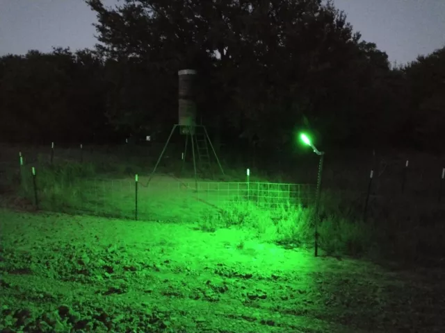 10 vatios/1000 lúmenes verde cree LED solar cerdo caza jabalíes matar luz alimentador