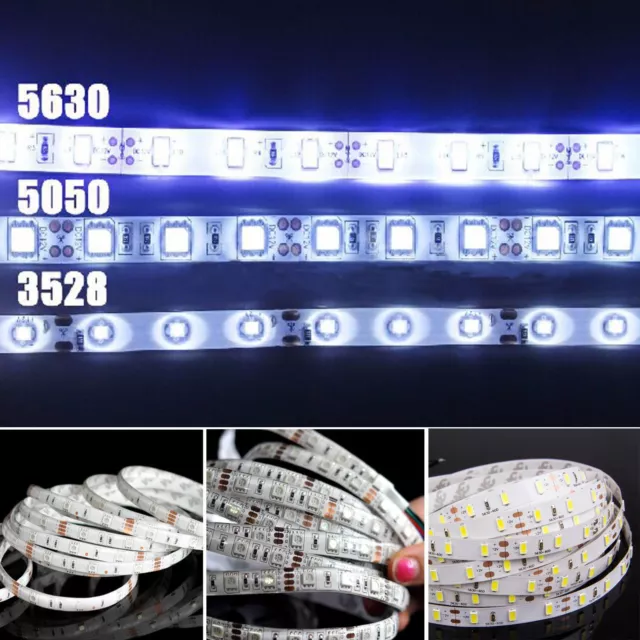 5M 10M 3528 5050 SMD Flexible LED Strip Lights 12V Power Cool White Warm white